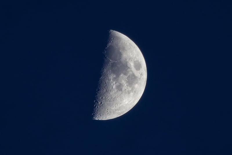 Lunar Serenades